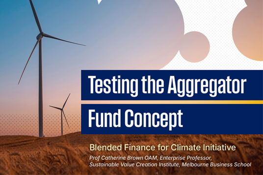The Blended Finance for Climate Roundtable June 2026 workshop discussion was facilitated by the Blended Finance for Climate Initiative at SVCI MBS and hosted by the Transition Accelerator.