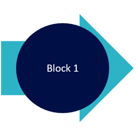 Program Preparation Icon 1