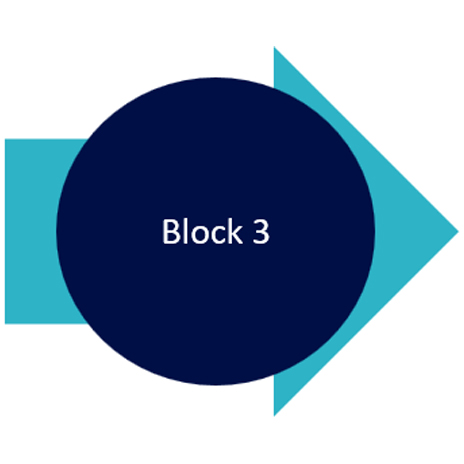 Program Preparation Icon 3