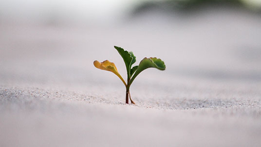 At key junctures, we measure the impact of the learning experience on your people's behaviour to ensure the solution delivers on objectives and meets organisational needs.