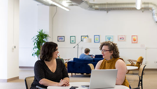 Two women have a discussion over a computer