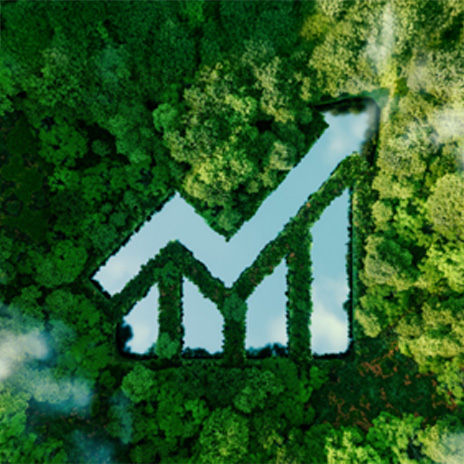 Insights and Action Report | Melbourne Business School