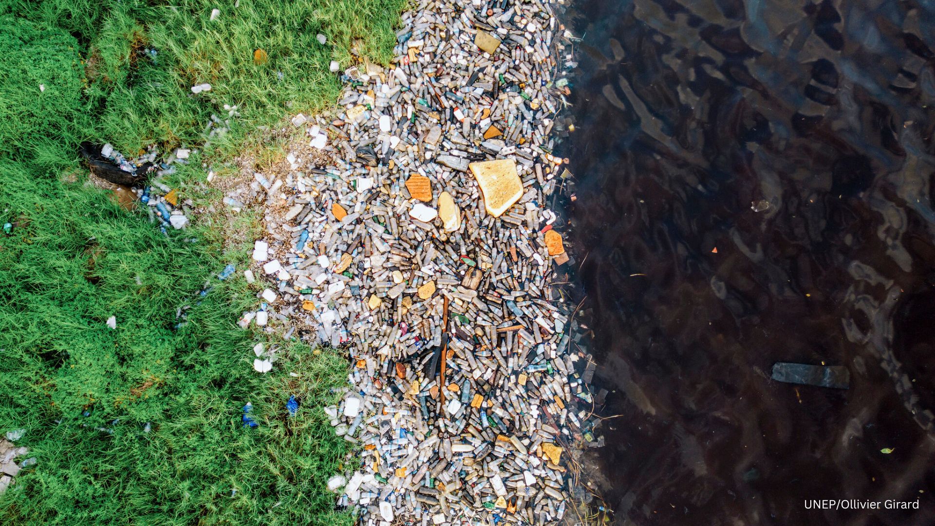 BeatPlasticPollution
