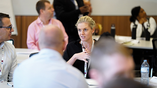We're developing specialised short courses for leaders and managers looking to make sustainability central to their thinking, focus and impact.
